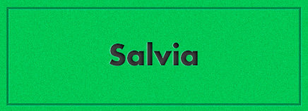 Salvia