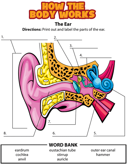 ear activity gif. This page was designed to be printed. We are working on creating an accessible version.