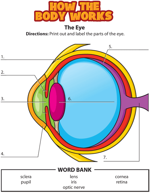 eye activity gif. This page was designed to be printed. We are working on creating an accessible version.