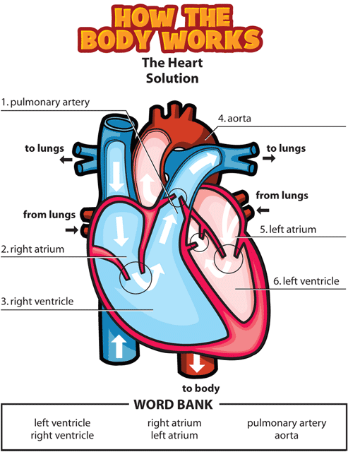 HTBW heart solutions GIF. This page was designed to be printed. We are working on creating an accessible version.