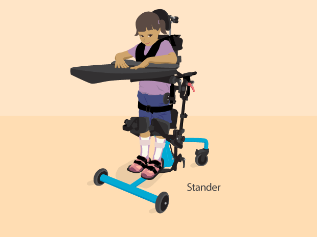 Stander