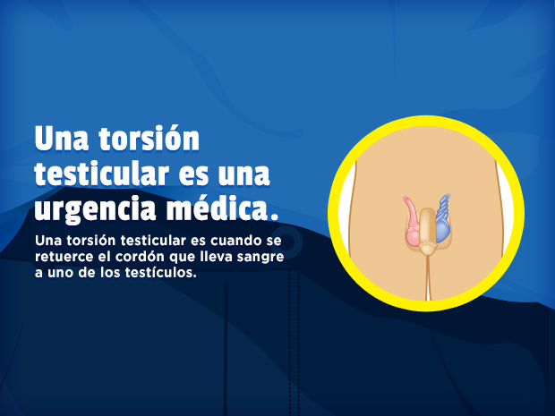 Una torsión testicular es cuando se retuerce el cordón que lleva sangre a uno de los testículos.