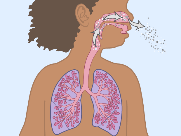 Finally, air leaves the body the same way it came in – through the nose or mouth.