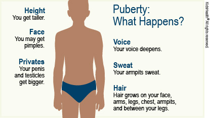 Puberty: What Happens? Voice - Your voice deepens. Sweat- Your armpits sweat. Hair - Hair grows on your face, arms, legs, chest, armpits, and between your legs. Height - You get taller. Face - You may get pimples. Privates - Your penis and testicles get bigger.