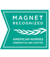 Magnet